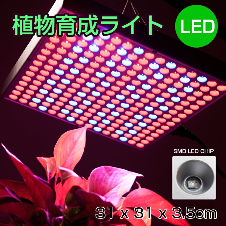 LED電球 植物育成 サンプランター 水耕栽培ランプ 室内用 14W LED 100V 植…...:kyodoled:10000311