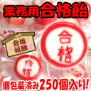 【 業務用 大袋入り 合格 飴 】 絶対合格 看護師 合格飴 試験 受験のお守り 受験グッズ 受験 合格 入試 合格祈願 お守り 合格 グッズ メガ盛り 業務用 キャンディー 予備校 神社 お菓子 粗品 景品 お徳用 大袋 入り 試験 10P03Dec16