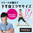 清水宏保さんプロデュース スケルトアップ スケーティーゴール...