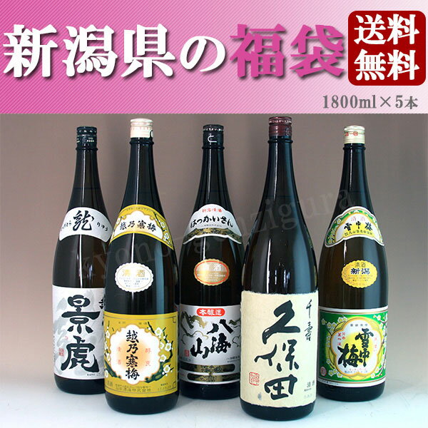 【お歳暮　敬老の日　ギフト 日本酒】【送料無料】新潟の超有名酒　飲み比べセット　豪華福袋！…...:kyono-genzigura:10001647