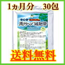 腸クリーン減肥茶 1ヵ月分【送料無料】 ※即日出荷! （ダイエット/健康/健康食品/お茶/茶/健康茶/減肥茶/楽天/通販）