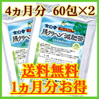 【約1ヵ月分がお得】 腸クリーン減肥茶 4ヵ月分【送料無料】 ※即日出荷 【kdsm】【ky】（お茶/茶/健康茶/ダイエット/ダイエットドリンク/ダイエットティー/楽天/通販）スッキリ感イチオシのダイエットティー！