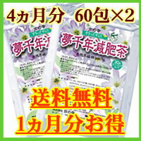 【送料無料】夢千年減肥茶 4ヵ月分※即日出荷!! （お茶/茶/健康茶/ダイエット/ダイエットドリンク/ダイエットティー/楽天/通販）