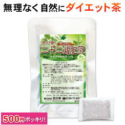 ダイエット お茶 ダイエット茶 健康茶 健康 茶 ブレンド むくみ 痩せる 二十二減肥茶 お試し 6包 無添加 バナバ ギムネマ 食べ過ぎ 運動不足 お通じ <strong>どっさり</strong> デトックスダイエット