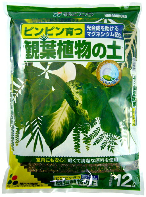 【送料無料】【土・肥料】期間限定お試しセット商品！！☆観葉植物の土☆12L×4袋　【お試しお買い得価格】