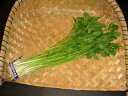 京野菜 有名な京芹(きょうせり)150g