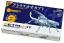 教材 工作メタルキット アトラスオオカブト