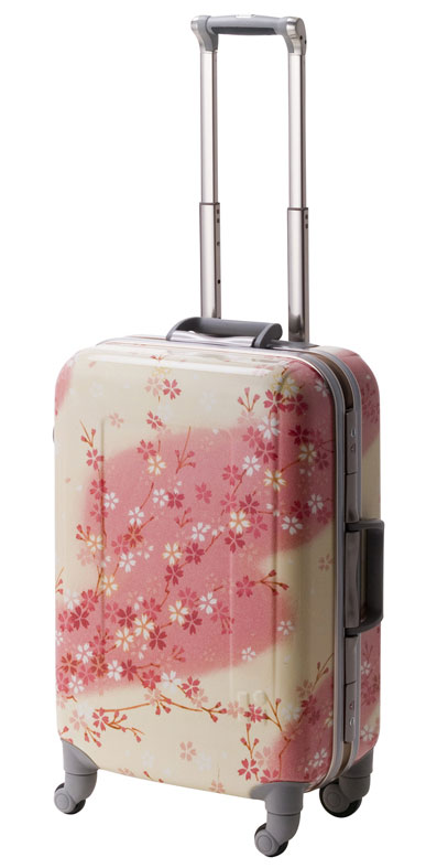 ӥ塼ǥץ쥼ȡ̵2010ǯ1ǯݾڡHIDEO WAKAMATSUҥǥ參ޥġץȡTSAåĥ顡4 57cm Sڤб_̡ۡڤб_ۡڤб_ÿۡۡڤб_Φۡڤб_쳤ۡڤб_ᵦ