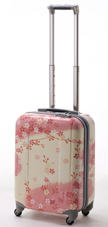 ӥ塼ǥץ쥼ȡιԤФ󡡥꡼꡼Хåȥ󥯡ϡɡιԡιԡ顡̵1ǯݾڡHIDEO WAKAMATSUҥǥ參ޥġŬ ץȥĥ顡եʡ SSڤб_̡ۡڤб_ۡڤб_ÿۡۡڤб_Φۡڤб_쳤ۡڤб_ᵦ