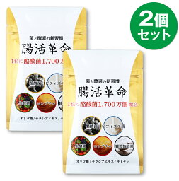 腸活革命 腸活 腸内 コンブチャ 乳酸菌 フローラ サプリメント ダイエット サプリ 生酵素 酵素 ビフィズス菌 <strong>雑穀</strong>こうじ酵素 サプリ サプリメント 31日分 2個セット