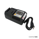 エビ 専用充電器 BC0075G