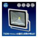 日動工業　LEDエコナイター50(昼光色)　LEN-50D-ES-W