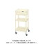 【直送品】サカエ スペシャルワゴン SPE-11I