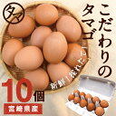 宮崎産タマゴ10個九州育ちのこだわりたまごこだわりの飼料とマ...