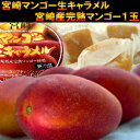 【送料無料】宮崎マンゴー贅沢セット宮崎からの極上産地直送!今年も激ウマ宮崎完熟マンゴーとマンゴー生キャラメルをセットにしてお届け致します♪コチラの商品は5月下旬頃のお届けとなります
