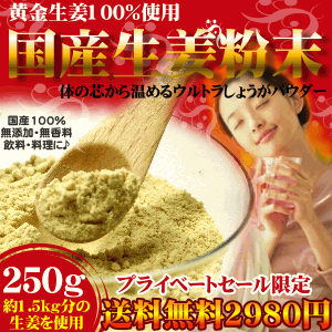 【送料無料】ウルトラしょうが粉末(生姜粉末)雑誌でも掲載されたしょうが粉末黄金生姜100％をまるごと乾燥し粉末した料理や飲料何にでも使える無添加生姜粉末生姜湯/しょうがパウダー/ジンジャーパウダー【2sp_120427_a】【送料無料】国産生姜粉末250G鹿児島産・宮崎産しょうがの粉末！(ジンジャーパウダー)