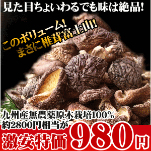 【3袋以上で送料無料】九州産しいたけ250g自然の中で育った無農薬の原木栽培しいたけがギフト外の訳あり特価で、赤字覚悟の65％OFF！この量っ！価格っ！おそらく激安スーパーでも買えないでしょう！