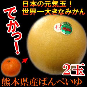 ܸͮ(Фڤ)2(25kg30kg)Ѥˤ⥵ץ饤£ʪˤΤͤˤɬꡪ