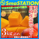 2015年先行発売!【送料無料】スマステーション紹介!お得な訳あり宮崎完熟マンゴーメガ盛り3kg詰め(訳あり)正規品より安くで味わえる惜しくもギフト外の訳あり宮崎完熟マンゴー見た目ちょいわるでも味は絶品!【訳あり 宮崎 完熟 マンゴー 1●】