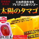 先行ご予約!【2玉以上で送料無料】太陽のタマゴ(大玉1玉)最高級フルーツ宮崎の厳しい基準を乗り越えた『香り・色艶・糖度』全てがプレミアムの宮崎ブランド完熟マンゴー【宮崎マンゴー】【太陽のタマゴ】【アップルマンゴー】【お中元・ギフト】