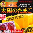 【送料無料】太陽のタマゴ(大玉2玉)最高級フルーツ宮崎の厳しい基準を乗り越えた『香り・色艶・糖度』全てがプレミアムの宮崎完熟マンゴー【宮崎マンゴー】【太陽のタマゴ】【アップルマンゴー】【お中元・ギフト】
