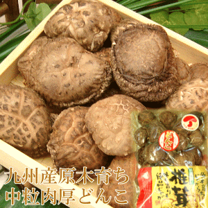 九州産中粒どんこ110g2年の歳月をかけた本物の味をお届け致します！【包装・熨斗無料】【お歳暮・贈答用】