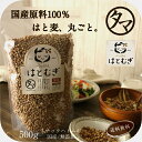 【送料無料】国産 はと麦(ハトムギ)飲める♪食べれる当店オリジナル商品低カロリーで美容・健康のヨクイニン豊富な美容食。国内自給率8%という希少な富山県産鳩麦【ハトムギ はと麦 煎りはと麦 国産 はとむぎ はとむぎ茶100%】|健康茶 お茶 自然食品