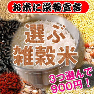 【雑穀生活】3つ選んで999円！当社独自のブレンド雑穀米☆毎日の不足しがちな食物繊維・カルシウムなどのミネラル・ビタミンを補う女性にも男性にもお薦めできる雑穀です！