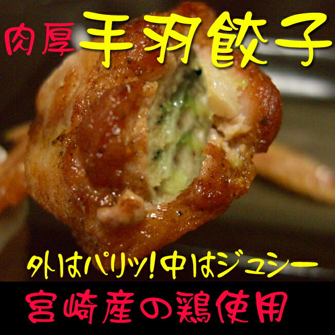 【宮崎鶏使用】肉厚手羽餃子〜10本入り〜 ジューシーでやわらか〜