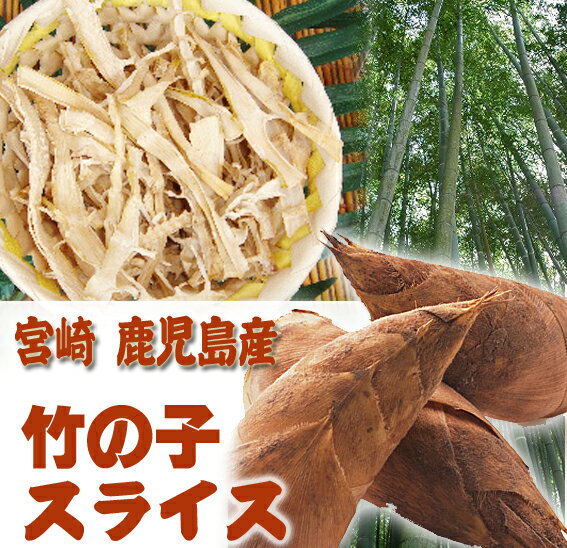 【送料無料】宮崎産干し竹の子スライス(乾し竹の子)　40g　お試し用★メール便での配送★　同梱不可・日時指定不可