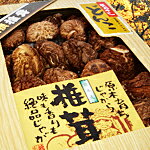 どんこ椎茸ギフトDS-20