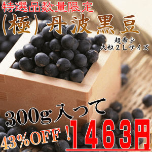 A級品丹波黒大豆大粒2Lサイズ300gもっちりと柔らかくて濃厚なお味♪日本最大を誇るの丹波黒豆の生産地、岡山県のこだわり農家が丁寧に栽培したA級品の丹波黒豆です！【平成22年度産】数量限定激安価格でお届け致します！