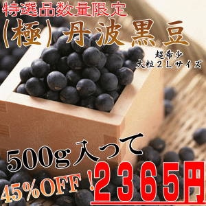 A級品丹波黒大豆大粒2Lサイズ500gもっちりと柔らかくて濃厚なお味♪日本最大を誇るの丹波黒豆の生産地、岡山県のこだわり農家が丁寧に栽培したA級品の丹波黒豆です！【平成22年度産】数量限定激安価格でお届け致します！