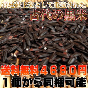 【紫黒米】●鹿児島産　黒米(クロマイ) 2kg●ご飯と一緒に炊けばもちもちピンク色の美味しいご飯に♪●こだわりの古代から伝わる黒紫苑種100％●【国産 黒米/黒紫米/紫黒米】【送料無料】こだわりの黒米(紫黒米)有機肥料で育てた黒米の王様(黒紫米)