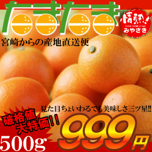 宮崎産完熟きんかんブランンド「たまたま」が激安特価で入荷！糖度16度以上〜【2L〜3Lサイズ500g】お得な家庭用にご用意！高級きんかん作りの名産地宮崎のたまたま金柑が超激安特価で入荷！宮崎ならではの完熟した美味しさ