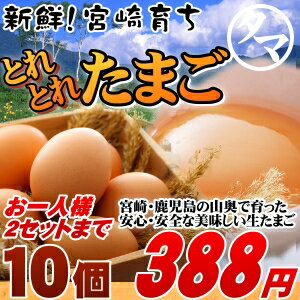 【九州 たまご】こだわり新鮮なとろ〜りたまご品質・衛星すべてHACCP管理された安心・安全なたまごビタミンEは一般卵のなんと10倍の美味しく栄養もたっぷり♪【生卵/タマゴ/たまご】九州の霧島山麓で採れた新鮮な美味しいたまご