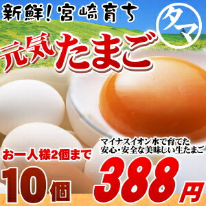 九州育ちのこだわりたまごこだわりの飼料とマイナスイオン水で育てた濃厚な味わいのタマゴ品質・衛星管理された安心・安全な高品質たまご【生卵/タマゴ/たまご】