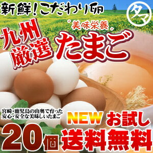 【送料無料】九州育ちのこだわりたまご宮崎・鹿児島のこだわり健康元気たまごと霧島山麓たまごのお試しセット！品質・衛星管理された安心・安全な高品質たまご【生卵/タマゴ/たまご】九州発！宮崎で採れた新鮮な美味しいたまご