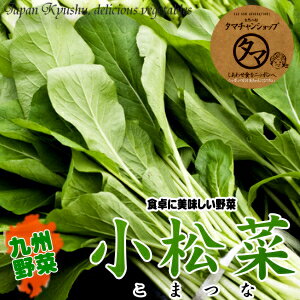 【九州　野菜】小松菜(こまつな)1束無農薬・無化学肥料で育てた美味しいこだわりの小松菜です♪