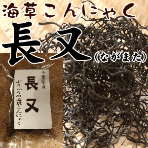 長又(ながまた) コトジツノマタ海草こんにゃくと言われる千葉県地方で愛されるぷるぷるの海藻食材【長又 35g】【海草 海藻】ぷるぷるの食感にやみつき！海草こんにゃくと呼ばれる珍食材！