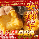 【2セット以上で送料無料】激安980円訳あり鹿児島産安納芋(あんのういも)1.6kgTVで紹介され大人気のあま〜い安納芋が訳あり特価でご予約開始！安納芋は美味しいだけじゃなく栄養も食物繊維もたっぷり♪【サツマイモ　訳あり】【当店最安値】