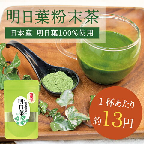 【送料無料】九州産 明日葉パウダー(100g)自然豊かな大地で育った明日葉はカルコン豊富な女性に大人気！明日葉粉末 無添加■計量スプーン付き■|明日葉茶/アシタバ/あしたば茶/パウダー/青汁/国産