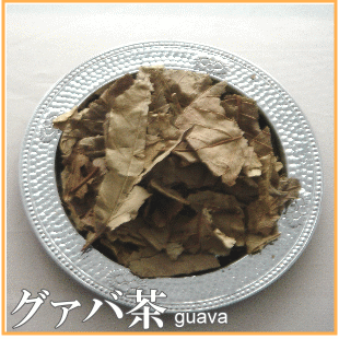 【送料無料】グァバ茶(シジュウム)宮崎の太陽をいっぱいに浴びたグァバの葉使用