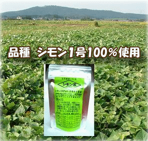 【3個までメール便可◎】新物宮崎産シモン茶【無農薬栽培】