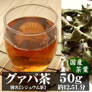 グァバ茶(シジュウム茶)〓宮崎産有機無農薬栽培50g入り(約25日分)〜自然の香りをそのままに〜【完全無添加・無着色・国産茶葉】（グァバ シジュウム）