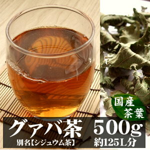 国産グァバ茶( シジュウム茶 )宮崎産有機無農薬栽培500g入り(約50日分)〜自然の香りをそのままに〜【完全無添加・無着色・国産茶葉】(グァバ　シジュウム)