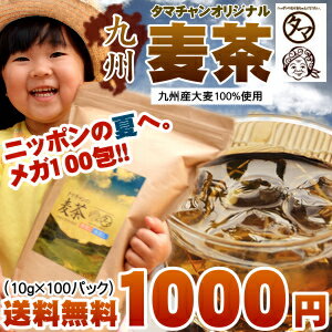 【送料無料】九州産麦茶（むぎ茶） 100パック入り1Lあたり10円 煮だし・水だしでも使える焙煎むぎ...:kyunan:10003791