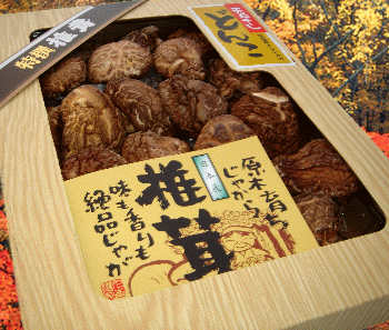 厳選肉厚原木乾どんこ椎茸200g☆大自然からの贈り物☆【包装・熨斗無料】【お歳暮・贈答用】