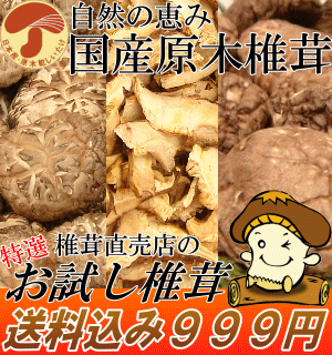 【送料無料】選べる国産原木椎茸お試しセット風味♪香り♪食感♪日本が誇る原木しいたけの味をお届けします！24ヶ月の歳月を大自然の中で育てた本場本物の味わい【日本産原木椎茸】【無農薬】【安心・安全】