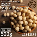 【送料無料】マカデミアナッツ 500g(無添加 無塩 ロースト 素焼き)一度は食べて頂きたいクルミのような独特の深い香りとコクが決め手の人気マカダミアナッツ。パルミトレイン酸|マカデミア 健康食品 マカダミア 美容 食物繊維 ナッツ ミネラル 疲れ